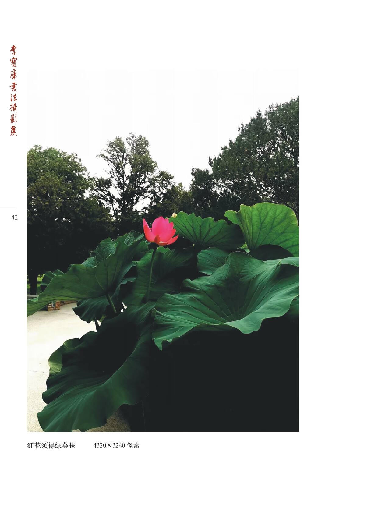 李宝库书法摄影集
