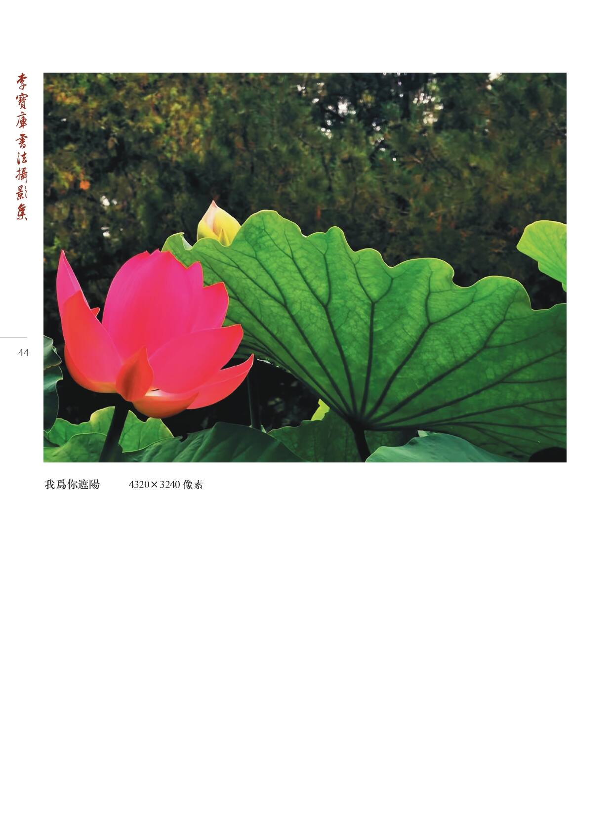 李宝库书法摄影集