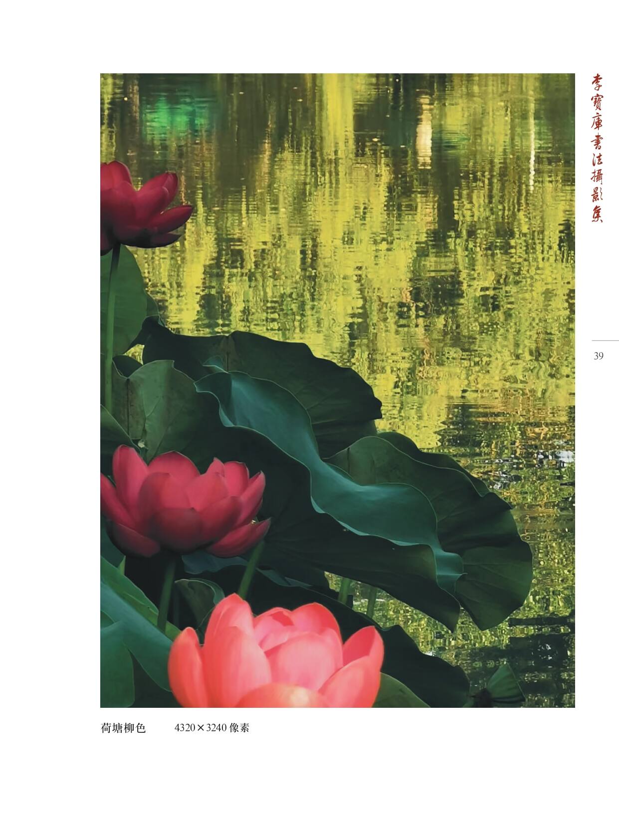 李宝库书法摄影集